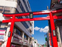日本旅游京都艺伎 艺伎是什么人？