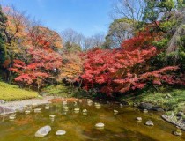 京都哪些旅游景区好玩 京都哪些旅游景区好玩的