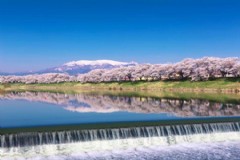 单次日本旅游签证(上海去日本三年多次往返签证规定？)