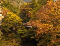 大阪夏天散心旅游？大阪夏天热吗