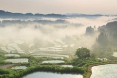 日本东京旅游团多少钱，2021东京奥运会费用？