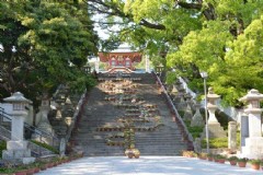 日本旅游北海道蛋糕店，日本北海道蛋糕品牌