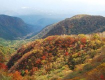 福冈旅游自然风景(日本九州和福冈有哪些好去处？)