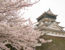 韩国明星去过日本旅游（介绍韩国明星最喜欢的日本旅游景点）