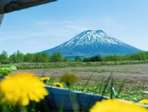 北海道旅游一个月费用多少 韩国济州岛和日本北海道哪个更适合旅游？