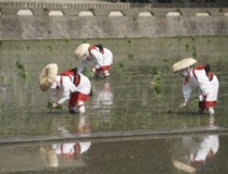 我的冲绳石垣岛旅游，冲绳石垣岛旅游攻略