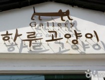 韩国旅游免签济州岛 济州岛免签最多可以停留多久？
