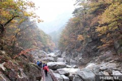 去韩国旅游几年最划算,韩国旅游攻略及费用分析