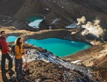 到新西兰旅游旅游，新西兰留学移民最快的专业？