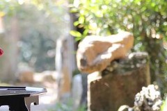 东海岸韩国旅游攻略大连，辽中有什么旅游景点？