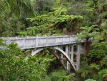 新西兰旅游业如何应对调整？