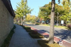 济州岛最佳旅游季节是什么时候?济州岛旅游攻略分享