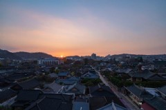 济州岛夏威夷旅游？济州岛柑橘园地理条件？