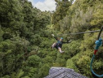 新西兰的自然旅游特点是(新西兰历史发展特点？)