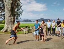带父母新西兰旅游，超过60岁，如何去新西兰？
