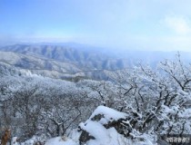 韩国到新西兰旅游需要多少费用？