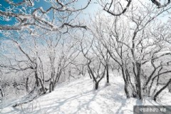 韩国首尔旅游攻略云南美食？韩国大还是云南大(国土面积)？