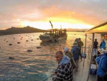 新西兰旅游签证为啥被取消(2022年新西兰居民签证最新消息？)