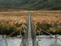 新西兰马尔堡之旅（探索马尔堡最美的景点和美食）