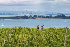 新西兰南岛1月旅游穿衣(第一次入境新西兰需要注意什么？)