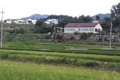 迪拜中转济州岛旅游签证,迪拜中转济州岛旅游签证好办吗